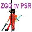 ZGG tv PSR