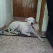 Mora Mora