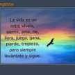 anyelinaguillen 