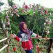 Bunda Kayfana