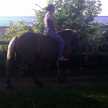 susan.shephard2