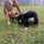 mandy5680