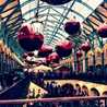 rimzi