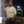 daniel.sommers.796