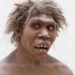 Turkana Boy