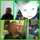 hailey.d.shoaf