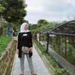 Dewi Safitri