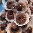 Ikou Recettes