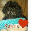 kahnes.mom