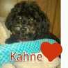 kahnes.mom