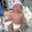 laura.silvas.9