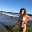 Pili ardoy