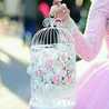 Lareeb Tanweer