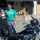 bcd126 bcd126