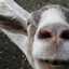 goatfarmer