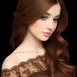 winda 