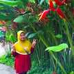 Pratiwi Cemploek