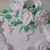 Shummi urwa khan
