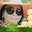 Henny Lintang