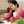 Shipra Goyal