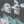 Khaled Alshareef