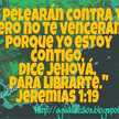 Pam Quiroz