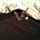 cathalene.walsh
