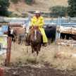 sagebrushcowboy