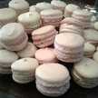FoodisanArt