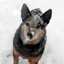 roxy.clemons