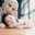 Leny_zaqeena