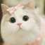 atyeb_alb