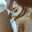 Faten 