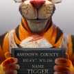 andhownz