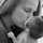Sarah Wright Sarah Wright