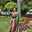 Divya Mittal