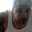 nicholas.bonet.7