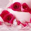 arwa.hashash