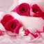 arwa.hashash