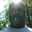 greg061569
