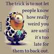 Fetoon