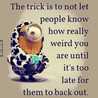 Fetoon