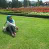 Citra Vita Yuningtyas Citra Vita Yuningtyas