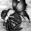 ana.boia