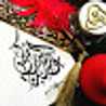 عايشة الدرمكي