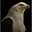 nesser eagle