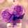 💕نتاشا💕 💕نتاشا💕