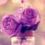 💕نتاشا💕