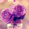 💕نتاشا💕 💕نتاشا💕