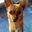 Plasticspoon
